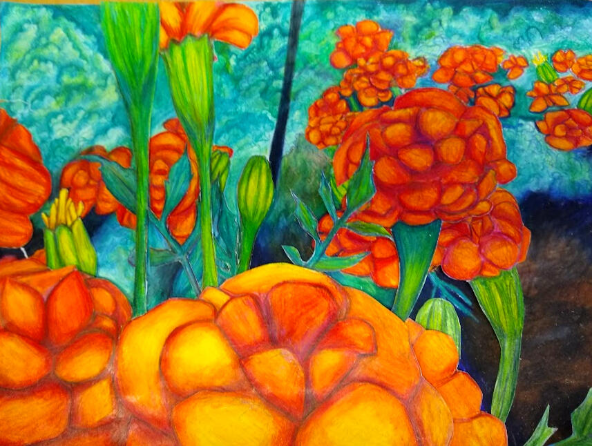 Cornell Botanic Gardens - Colored Pencil